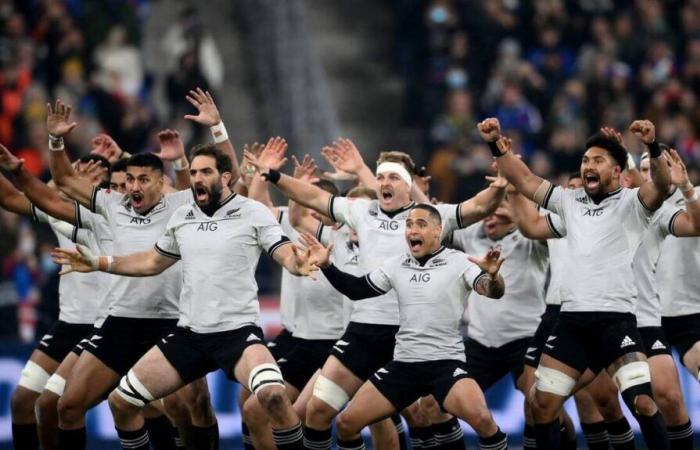 Herbsttour. Frankreich – Neuseeland: Warum werden die All Blacks in Weiß spielen?