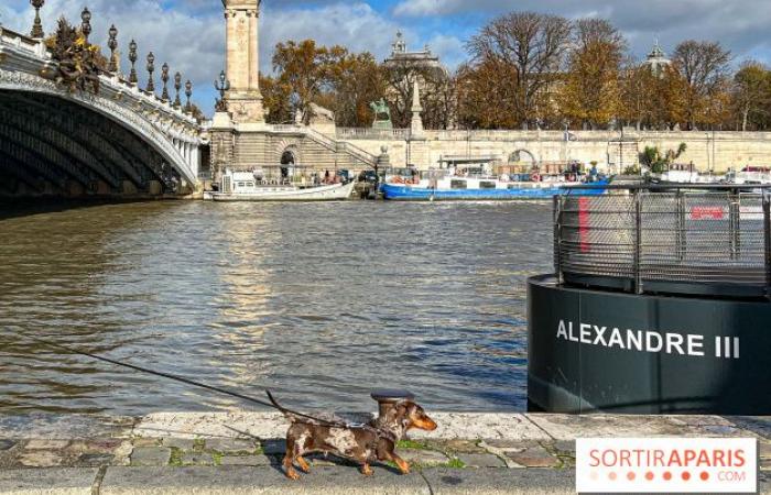 Pariser Wurstspaziergang 2024: Der Dackelspaziergang kehrt diesen Sonntag in die Hauptstadt zurück!