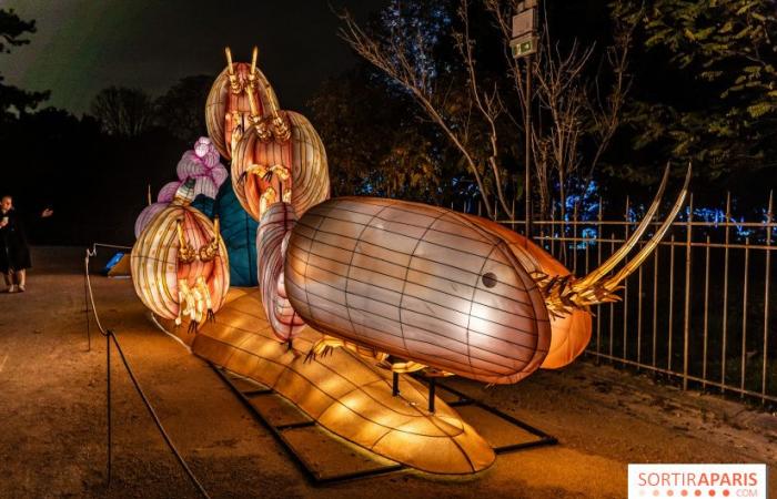 Jura im Prozess der Erleuchtung: das Lichterfest 2024-2025 im Jardin des Plantes – Fotos