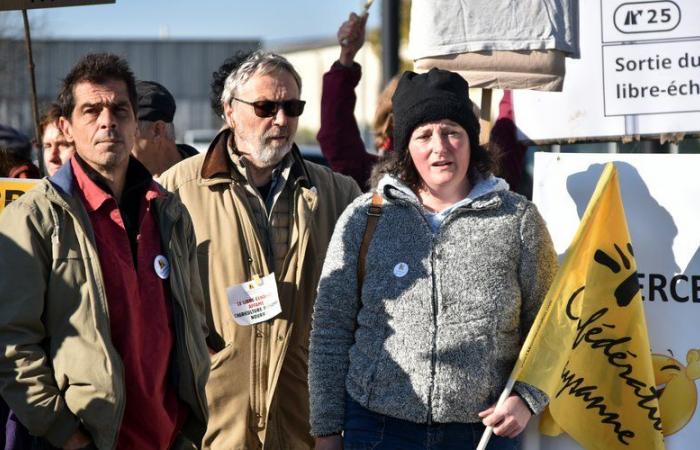 Wut der Landwirte: „Der EU-Mercosur-Vertrag wird der französischen Viehhaltung ein Ende setzen“, so der Bauernbund Lot-et-Garonne