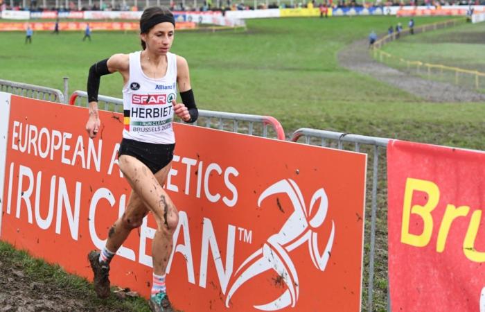 Belgische Cross-Country-Meisterschaften in Hulshout: Die Auswahl für die Antalya-Europameisterschaft wird an diesem Sonntag entschieden