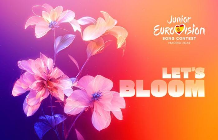 Junior Eurovision Song Contest 2024 live aus Madrid