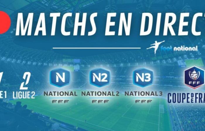 Coupe de France und N3 live ab 14 Uhr.