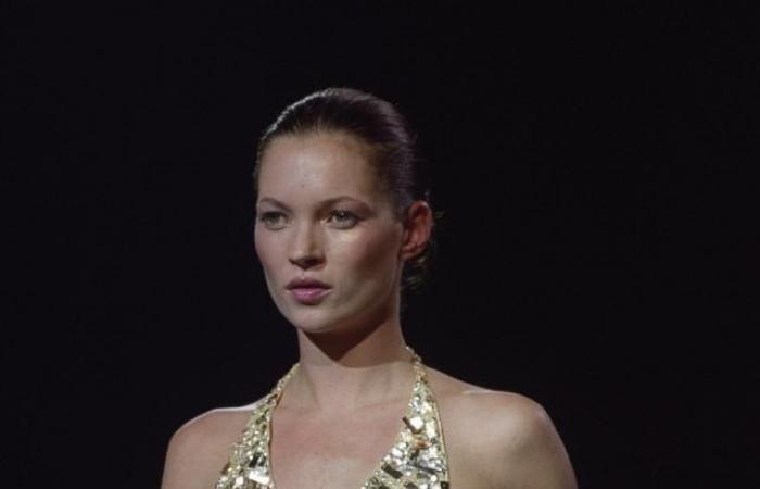 Was Sie von der neuen Zara-Kollektion von Kate Moss erwarten können