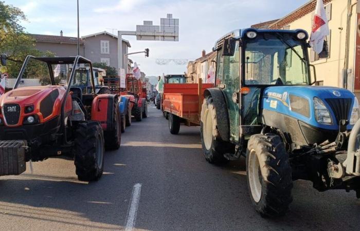 Agrarkrise: Neue Schneckenoperationen und Feldbrände in der Drôme-Ardèche am Montag, 18. November