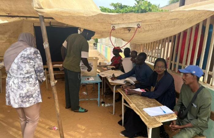 Senegal/Legislative: Öffnung generell gemäß den Regeln der Wahllokale (WANEP) | APAnews