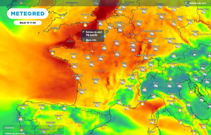 Was sagen die neuesten Wettervorhersagen? Wirst du betroffen sein?