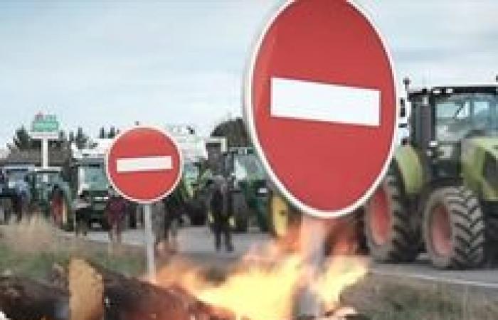 „Wir werden nicht sterben, ohne etwas zu sagen“: In Tarn-et-Garonne sind diese Bauern bereit zur Remobilisierung