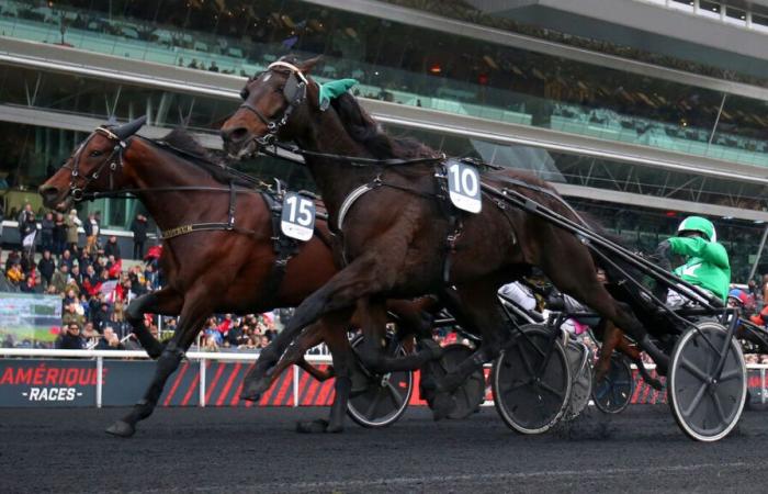 PMU – Ankunft der Quinté am Sonntag, 17. November in Paris-Vincennes: Hussard du Landret qualifizierte sich erstmals für Amerika