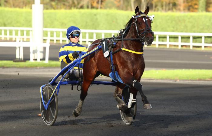 Die Top 3 der Equidia-Journalisten für das Q1-Rennen des Prix de BretagneAmérique in Vincennes