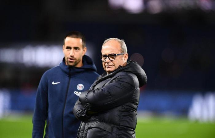 PSG: Luis Campos, ein überraschender Abgang in der Vorbereitung?