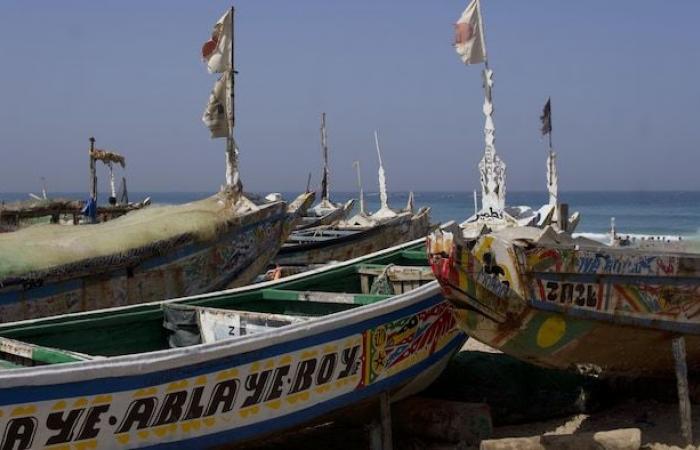 „Der Tod ist nicht mehr beängstigend“: Im Senegal der Exodus über das Meer | Die Flüchtlingskrise