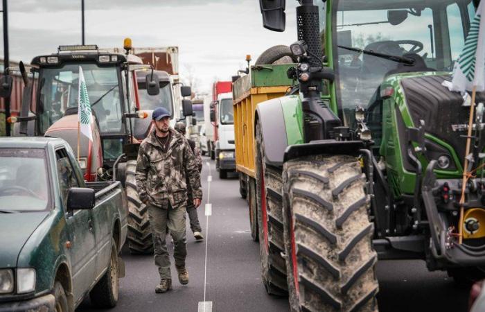 Traktordemonstrationen, Blockaden, Warnblinklichter … Wie werden die Landwirte diese Woche ihrer Wut Ausdruck verleihen?