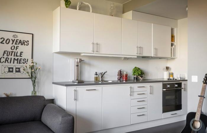 Ein modernes 33 m² großes Studio mit Alkoven