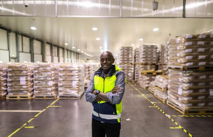 Primver entfaltet seine Aktivitäten international am Obstterminal des Hafens von Sète (Hérault).