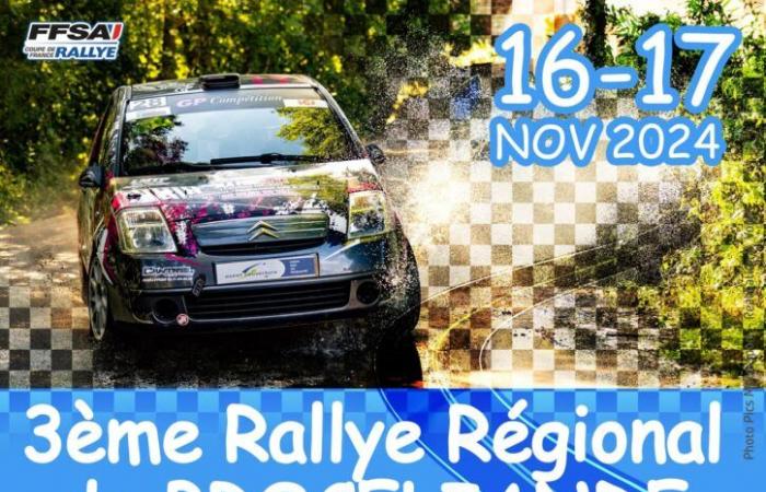 Direkte Rangliste Rallye de Brocéliande 2024