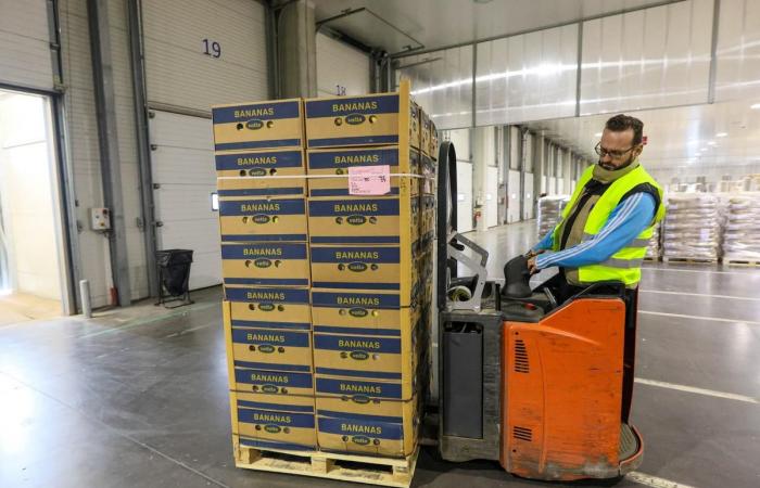 Primver entfaltet seine Aktivitäten international am Obstterminal des Hafens von Sète (Hérault).