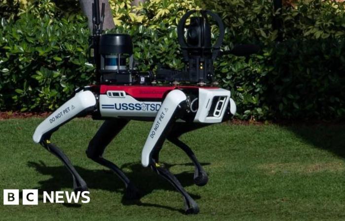 Auf Patrouille in Mar-a-Lago haben Roboterhunde ihre Chance