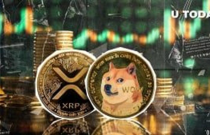 XRP dreht Dogecoin nach epischer Rallye über 1 $ um