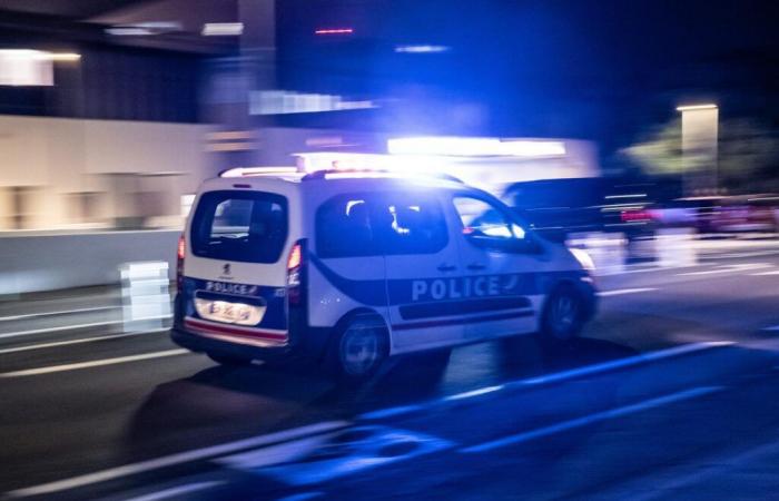 Ein Mann wurde von der Polizei getötet, nachdem er in Val-de-Marne Beamte mit einer „Waffe“ „bedroht“ hatte