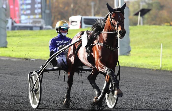 Die Top 3 der Equidia-Journalisten für das Q1-Rennen des Prix de BretagneAmérique in Vincennes