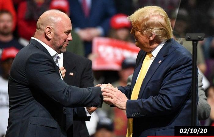 Dana White sagt, dass Donald Trump und Conor McGregor die lautesten Ovationen aller Zeiten erhalten haben