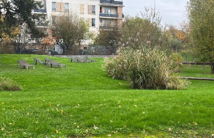 BERICHTERSTATTUNG. Überschwemmungen, Anstieg der Seine … Ist der Großraum Paris auf sintflutartige Regenfälle wie in Spanien vorbereitet?