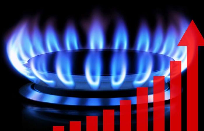 Gas – Der Referenzpreis beginnt im Dezember wieder zu steigen – Nachrichten