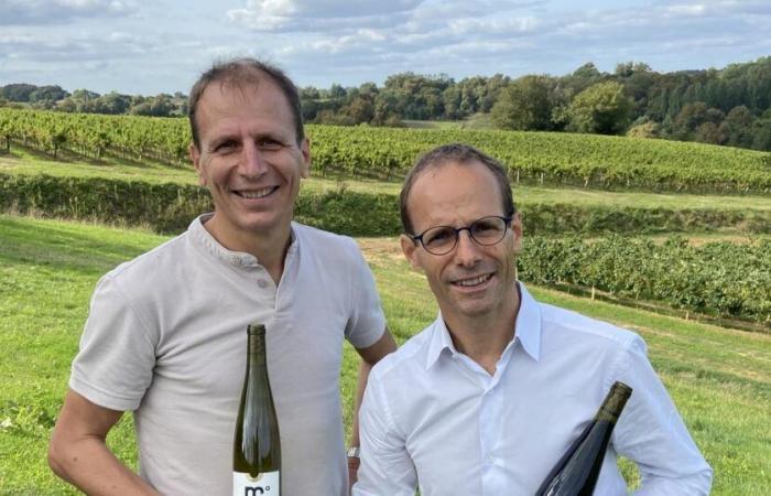 In Frankreich ist die Entalkoholisierung von Wein etabliert