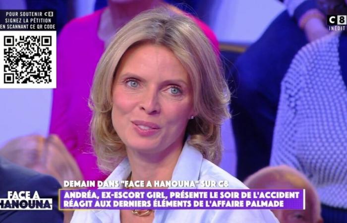 „Ich habe keine 12 Millionen Euro genommen“: Sylvie Tellier blickt auf die Umstände ihres Abschieds von Miss France zurück