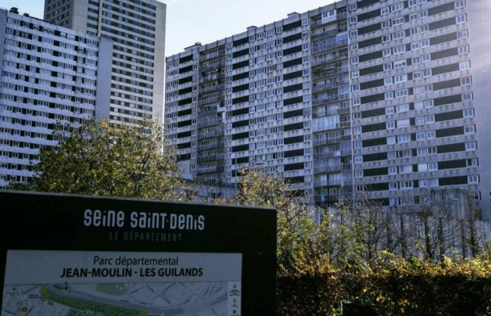 In Seine-Saint-Denis bessere Unterstützung für Beschäftigung ohne die Belastung durch RSA – Libération