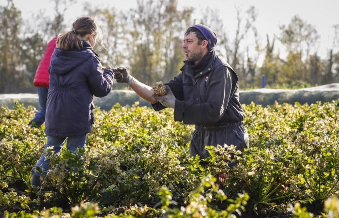 in Charente-Maritime der Erfolg partizipativer Projekte auf landwirtschaftlichen Betrieben