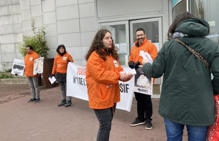 L214 lädt Sie ein, „die Hähnchenschalen umzudrehen“