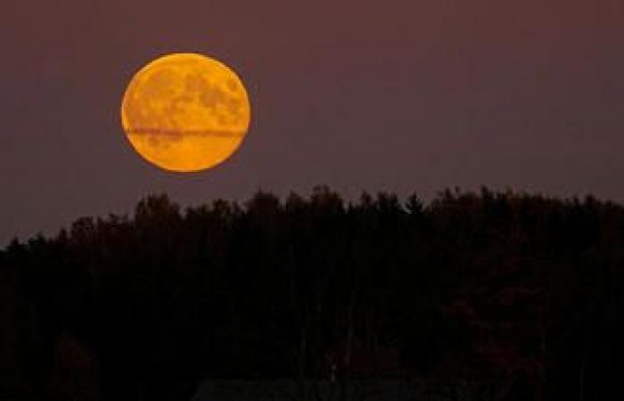 Vollmond von Biber, Schnee, Wolf… Warum geben wir ihnen Namen?