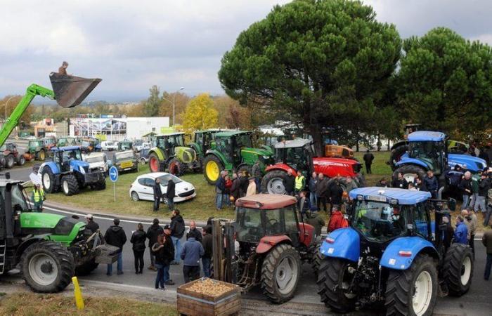 Wut der Landwirte: Wo werden sie demonstrieren und was ist diesen Montag in Frankreich und Okzitanien zu erwarten?