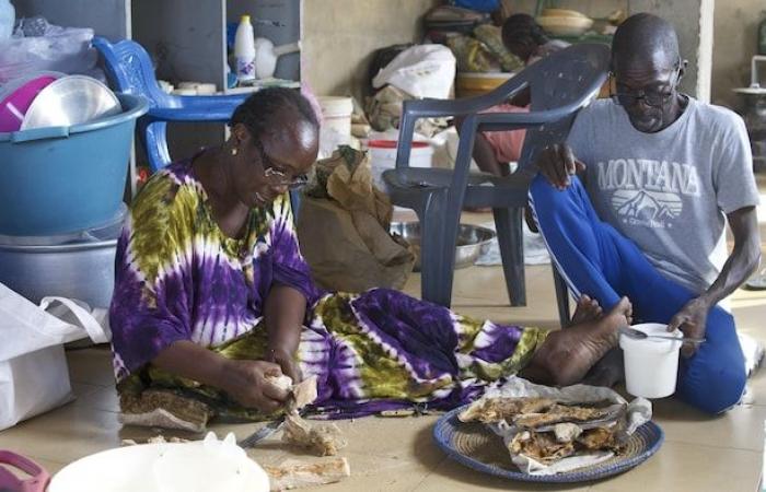 „Der Tod ist nicht mehr beängstigend“: Im Senegal der Exodus über das Meer | Die Flüchtlingskrise