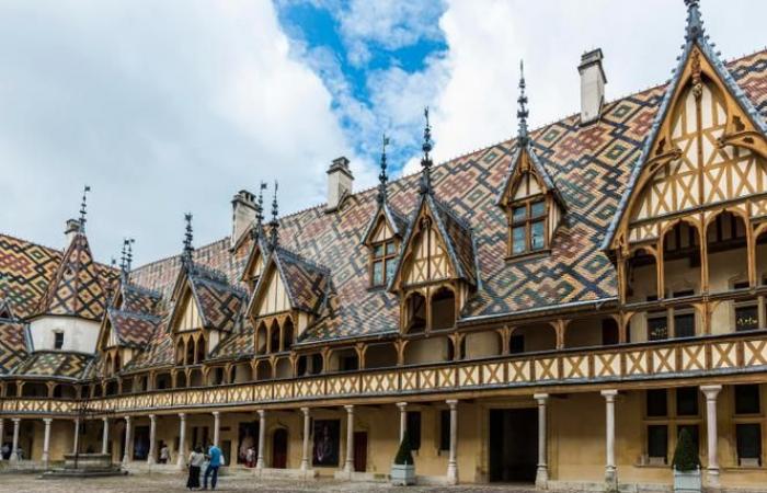 Die Hospices de Beaune stellen trotz der Widrigkeiten auf Bio um