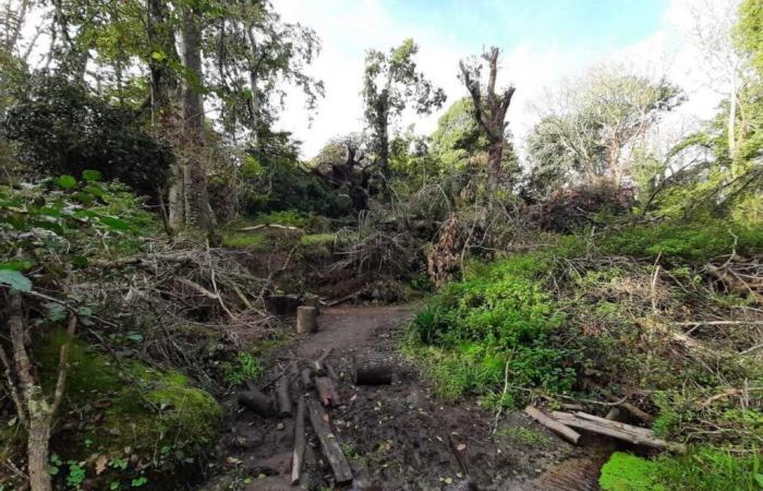 An der Küste der Bretagne ist an den vom Sturm Ciaran heimgesuchten Orten Vorsicht geboten