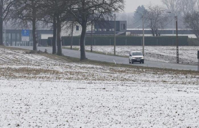 Schnee, starker Wind … Belgien steht in den kommenden Tagen vor winterlichen Bedingungen