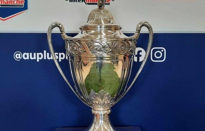 Coupe de France: Welche Vereine aus Loire-Atlantique und Vendée haben sich für die 8. Runde qualifiziert?