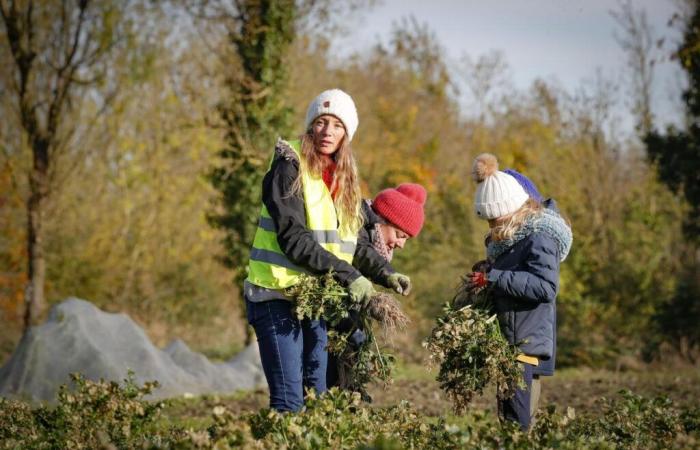 in Charente-Maritime der Erfolg partizipativer Projekte auf landwirtschaftlichen Betrieben