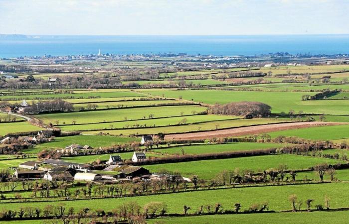 Vor mehr als 50 Jahren veränderte die Flurbereinigung die bretonische Landschaft: Fortschritt um welchen Preis?