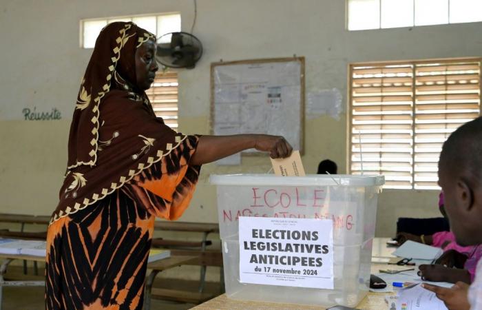 Am 17. November finden in Senegal Parlamentswahlen statt, bei denen es um die Regierung von Pastef geht