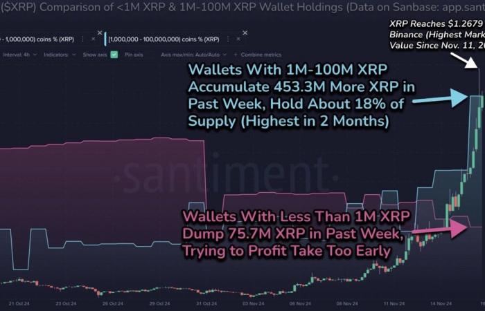 Der XRP-Preis fällt um 20 %, nachdem er ein Mehrjahreshoch erreicht hat – ist der Höchststand erreicht?