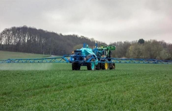 Biobauern in Côtes-d’Armor prangern den Einsatz des Herbizids Prosulfocarb an