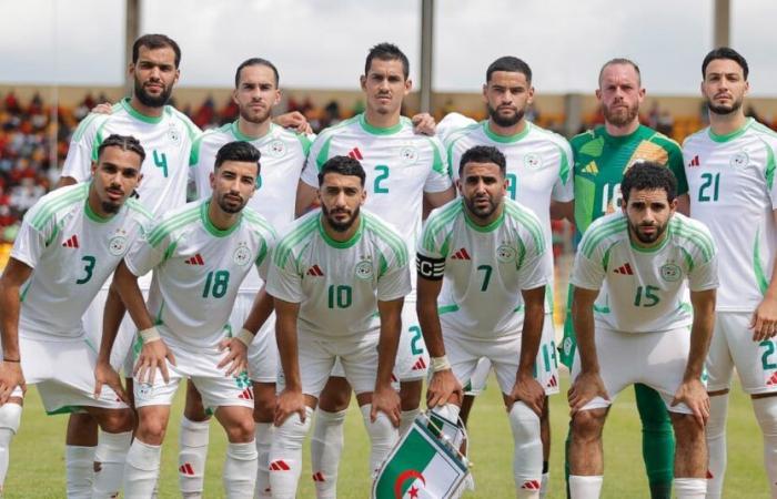 Warum Algerien fast Weltmeister ist