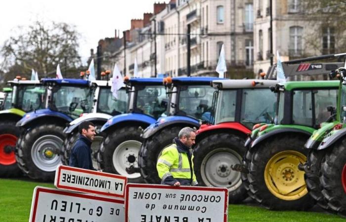 Welche Mobilisierungen sind diesen Montag in Ihrer Nähe geplant?