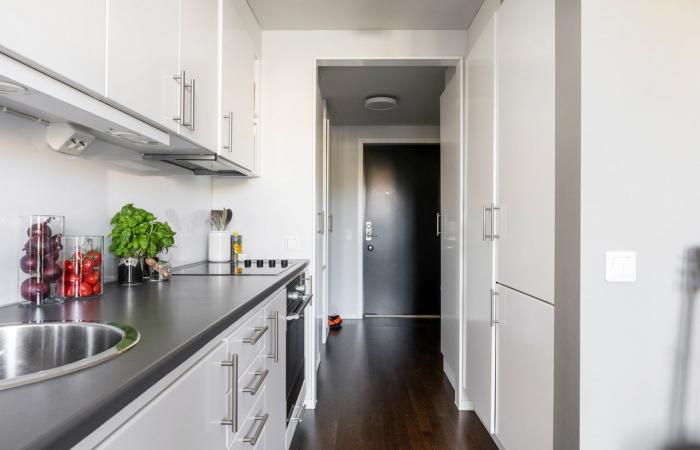 Ein modernes 33 m² großes Studio mit Alkoven