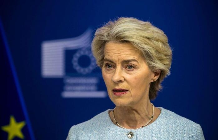 Für Ursula von der Leyen naht trotz des Widerstands aus Paris das Ende der Verhandlungen mit dem Mercosur