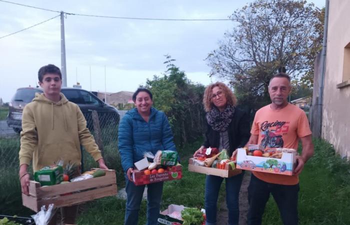 Dieser Gironde-Verein organisiert Plünderungen in den Weinbergen für Obdachlose